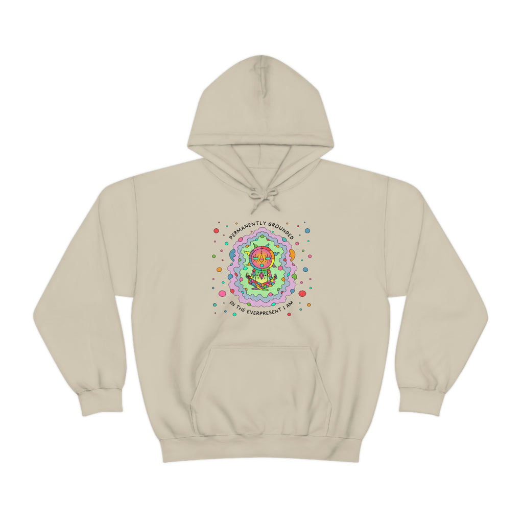 PERMANENTLY GROUNDED (Hooded Sweatshirt)